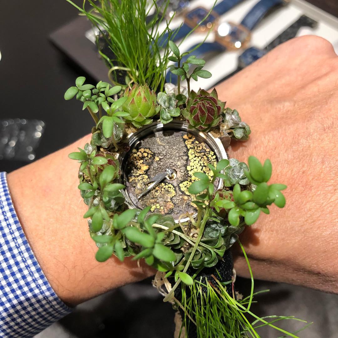 H. Moser & Cie Nature watch (2019)